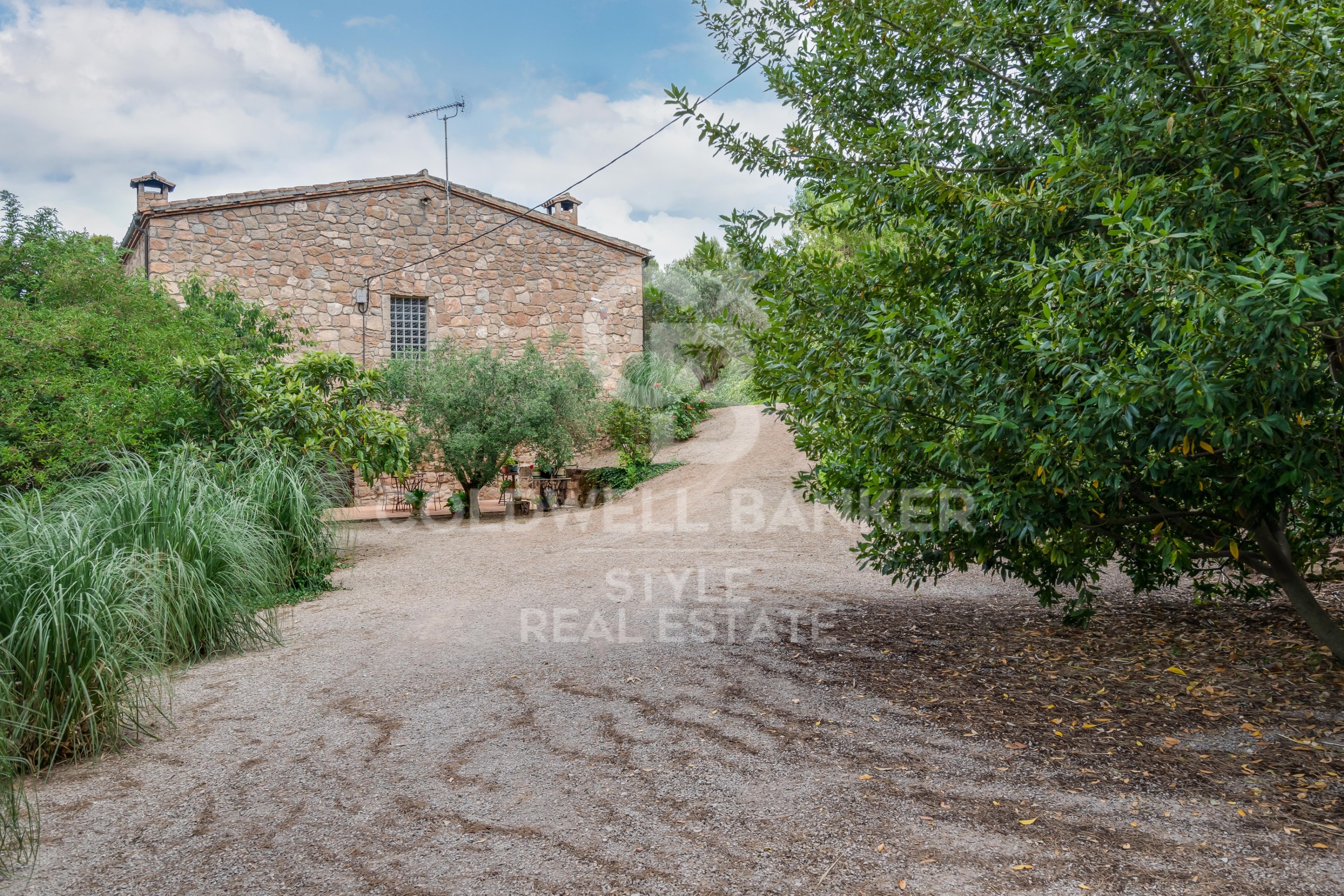 Rustic farm of 12 hectares.