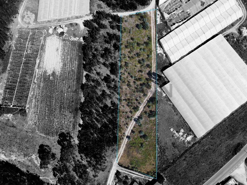 Terreno com projeto para Moradia T3 perto de Torres Vedras
